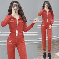 [CAO CẤP] Bộ Đồ Thể Thao Hotgirl TT359 - Da cá cotton - Siêu Dày Đẹp - Hàng Thiết Kế [Xuất khẩu Châu Âu]