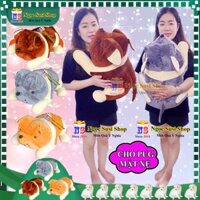 [CAO CẤP] GẤU BÔNG CHÓ PUG MẶT XỆ NẰM SIÊU TO ÔM NGỦ - THÚ BÔNG HÌNH CON CHÓ MẶT XỆ PUG