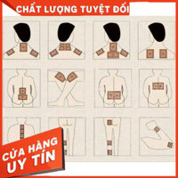 Cao dán xương khớp thảo dược - hộp 10 miếng - Cao dán đỡ đau - điều tr.ị những dịch bệnh xương khớp
