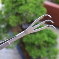 Cào Đất Mini, Cào Rễ Cây Bonsai , Cây Cảnh Thép Trắng Không Gỉ, Dụng Cụ Cào Rể Bonsai Mini, Cây Cảnh