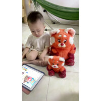 Cáo đỏ Turning red siêu rẻ 40~45cm