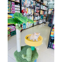 Cào móng cho mèo hình cây dừa