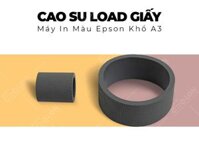 Cao su load giấy máy in màu Epson A3