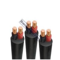 Cáp 2 lõi hạ thế (Cu/PVC/PVC) CVV-(2x6) Trần Phú