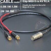 Cáp 5 pin sang AV chuyển âm thanh từ Âm ly cổ Băng cối sang loa - 5pin to 2 RCA MIDI audio cable