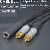 Cáp 6 ly cái sang 2 AV đực DIY 0.2 đến 5 mét - 6.5mm mono female to 2 RCA male