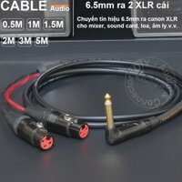 Cáp 6 ly sang XLR cắm cho Micro Vang Mixer.v.v. DIY 0.5 đến 5 mét - 6.35mm TS to 2 XLR female audio cable