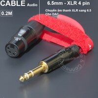 Cáp 6 ly TRS sang XLR 4pin cho Mytek Brooklyn TEAC UD-503 - 6.35mm stereo to XLR 4pin female adapter