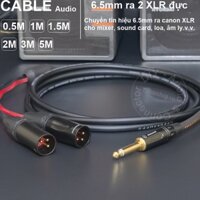 Cáp 6.5 sang canon đực DIY 0.5 đến 5 mét - 6.35mm mono to 2 XLR male audio cable
