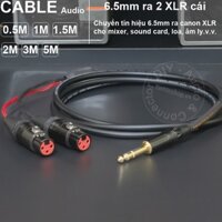 Cáp 6ly ra 2 canon cái DIY 0.5 đến 5 mét - 6.35mm to 2 XLR female stereo cable