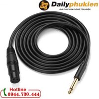 Cáp audio 6.5mm sang XLR 5m UGREEN 20721