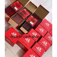 Cặp bố thắng đĩa RCB xe exciter 150-- (1 cặp trước sau )