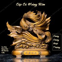 Cặp Cá Hoàng Kim - Cá Xiêm Đuôi Quạt - Tượng Đồng Phong Thủy