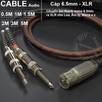 Cáp canon đực ra 2 jack 6ly mono DIY 0.5M đến 5M - 2 jack 6.5mm mono to XLR male cable