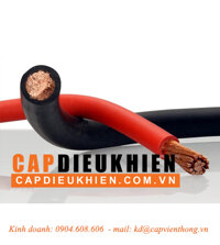 Cáp cao su ruột đồng Samwon 3x10 + 1x6 SQmm