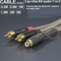 Cáp chia cổng AV 1 ra 2 DIY 0.2 đến 3 mét - AV port splitter cable 1 to 2 converts audio from sub to speakers