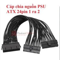 Cáp chia nguồn PSU ATX 24pin Main 1 ra 2 cổng dài 30cm