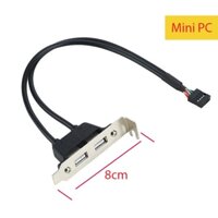 Cáp chuyển 9pin Mainboard ra 2 USB 2.0 gắn panel sau case SFF (case mini, nhỏ)