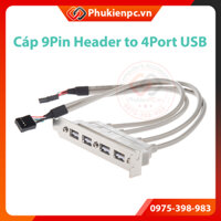 Cáp chuyển đổi 2 cổng USB 9Pin Header mainboard ra 4 x USB Bracket Panel. Mở rộng 4 USB 2.0 cho máy tính PC, máy tính đ