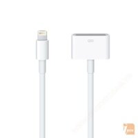 Cáp chuyển đổi Apple Lightning to 30-pin Adapter (0.2 m)