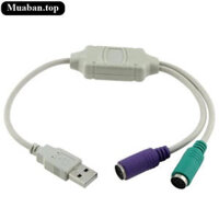 Cáp chuyển đổi cổng PS2 sang USB 2.0 Đực