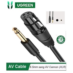 Cáp chuyển đổi từ 6.5mm sang AV Cannon (XLR) Ugreen 20720 3m