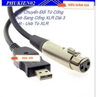 Cáp Chuyển Đổi Từ Cổng Usb Sang Cổng XLR Dài 3 mét - Usb To XLR