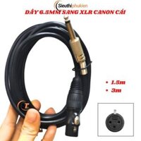 Cáp chuyển jack 6.5mm đực sang đầu Canon XLR cái cho loa kiểm âm, micro