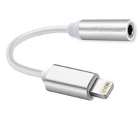 Cáp Chuyển Tai Nghe Lightning(iphone) Ra 3.5mm – Silver
