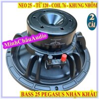 CẶP CỦ LOA BASS 25 PEGASUS TỪ NEO KHỐI COIL 76 TỪ 120 TIẾNG SÁNG CAO CẤP NHẬP KHẨU - GIÁ 2 LOA