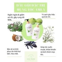Cặp dầu gội Amla detox