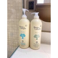 cặp dầu gội bio trắng