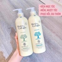 cặp dầu gội biotin collagen