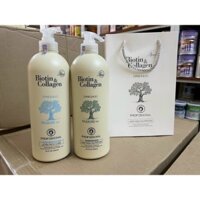 Cặp dầu gội Biotin