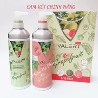 Cặp Dầu Gội Bưởi, Dầu Xả Bưởi GRAPEFRUIT PLUS Chống Rụng Tóc Phục Hồi Hư Tổn 850MLx2 Mấu 2022