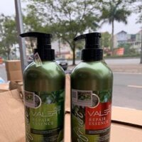 Cặp dầu gội bưởi grapefruit