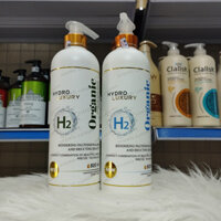 Cặp Dầu gội HYDRO LUXURY H2 Organic Keratin Care And Argan Oil Shampoo, siêu mượt, giảm gàu ngứa và Ngăn rụng tóc 800ml