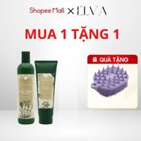 Cặp Dầu Gội Weilaiya Gừng Thảo Dược Hà Thủ Ô Kích Thích Mọc Tóc Giảm Gãy Rụng 400ml