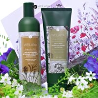 Cặp DẦU GỘI weilaiya