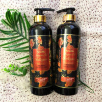 Cặp dầu gội xả cao cấp Armilla Argan Oil Collagen