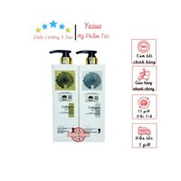 Cặp Dầu Gội Xả Collagen Vinge 1000ML | Giảm Rụng, Kích Mọc Tóc, Phục Hồi Hư Tổn | Hàng Chính Hãng