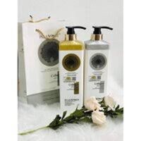 Cặp Dầu Gội Xả Collagen Vinge  | Hàng Chính Hãng