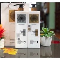 Cặp Dầu Gội Xả Collagen Vinge 1000ML | Giảm Rụng Tóc, Kích Mọc Tóc, Phục Hồi Tóc Hư Tổn | Hàng Chính Hãng