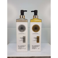 Cặp Dầu Gội Xả Collagen Vinge 1000ML | Hàng Chính Hãng