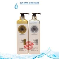 Cặp dầu gội xả Collagen Vinge Trắng |Kích Thích Mọc Tóc, Phục Hồi Tóc Hư Tổn ☄️ Hàng Chính Hãng EVANI