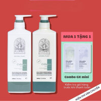 Cặp Dầu Gội Xả Collagen Vinge 1000ML | Giảm Rụng, Kích Mọc, Phục Hồi Tóc Hư Tổn