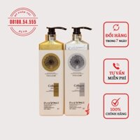 Cặp dầu gội xả Collagen Vinge Trắng |Kích Thích Mọc Tóc, Phục Hồi Tóc Hư Tổn☄️Hàng Chính Hãng Ý ALYA