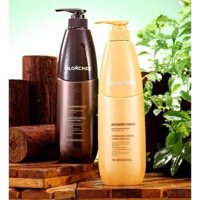 Cặp Dầu Gội Xả Olorchee Phục Hồi siêu mềm mượt 800ml