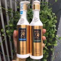 CẶP DẦU GỘI XẢ SIÊU PHỤC HỒI TÓC SUÔN MƯỢT WEKLA ĐỨC 248ML X 2-(NEW)