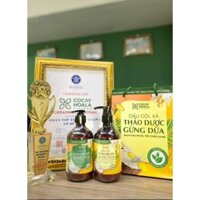 Cặp Dầu gội xả Thảo dược Gừng Dừa, chiết xuất thiên nhiên, giải pháp cho mái tóc gãy rụng và khô xơ